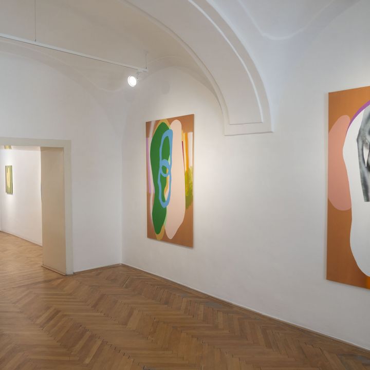 Somody Péter „sietni akarsz, de látod, hogy lassú vagy”