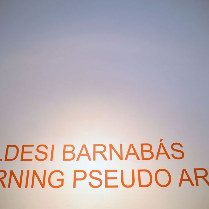 Földesi Barnabás Warning Pseudo Art!