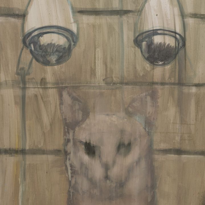 Szilágyi 50 A különbségek szigete