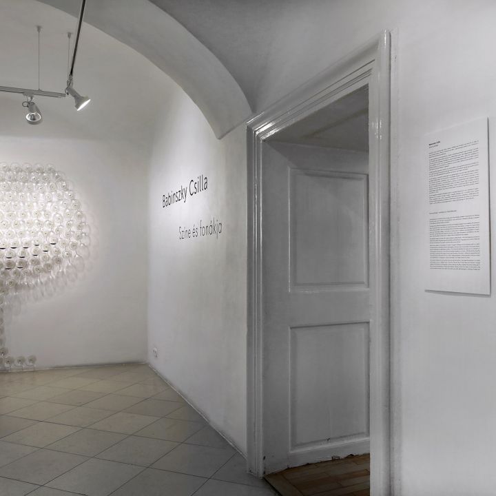 Babinszky Csilla Színe és fonákja