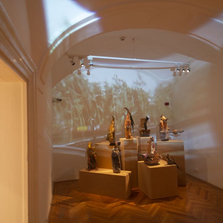 Györgydeák György 55