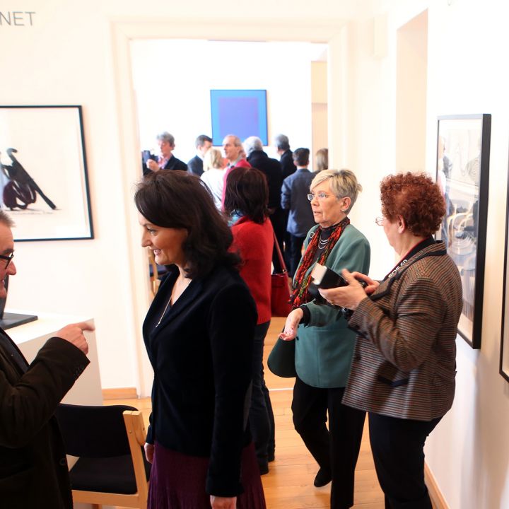 FÉNY-SZÍN-FORMA Polikróm harmóniák A Vass-gyűjtemény 6. állandó kiállítása