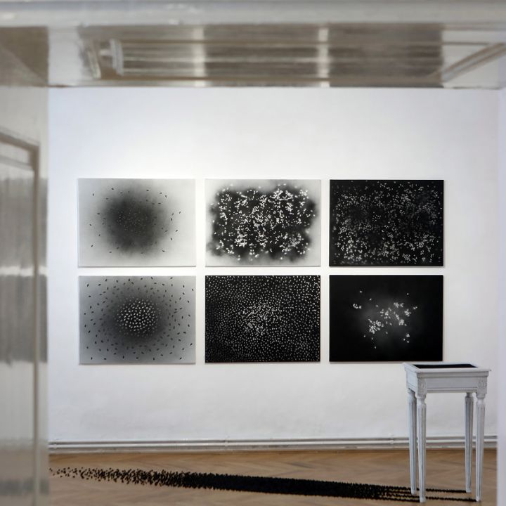 Babinszky Csilla Színe és fonákja