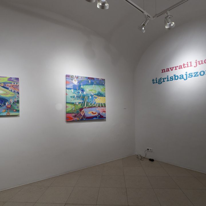 Navratil Judit Tigrisbajszon túl