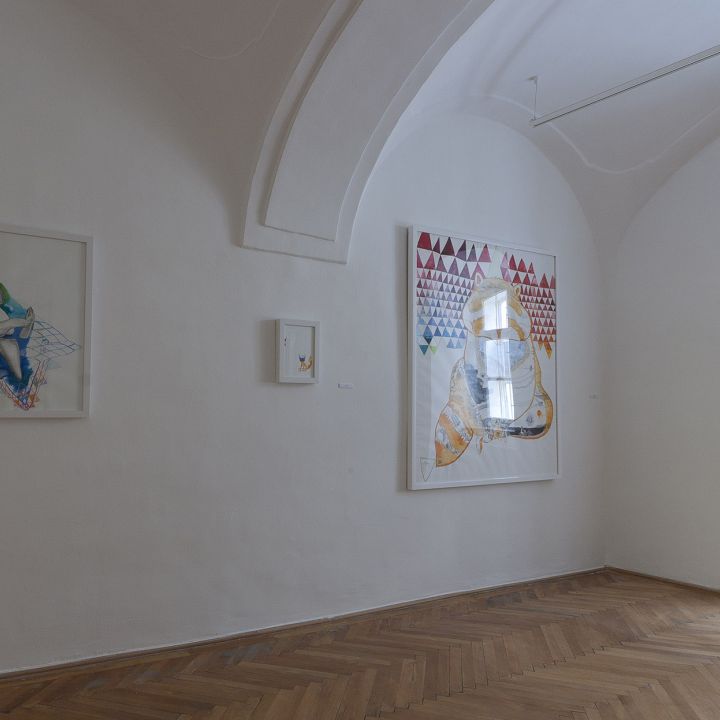 Navratil Judit Tigrisbajszon túl