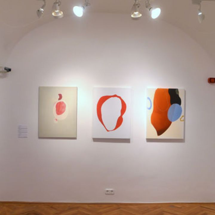 Veszprémi Tavaszi Tárlat 2013