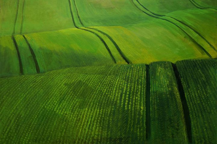 Kallai Sándor NATURA NATURANS