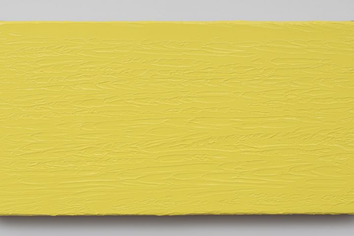 Gál András és Dorothee Joachim Színkontraszt