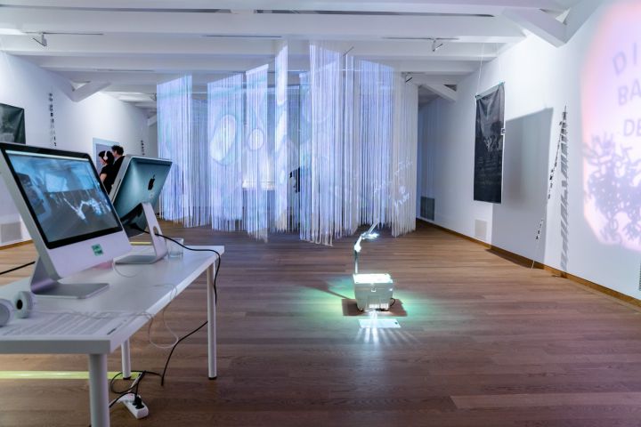 Balaton Detox Dubniczay-palota