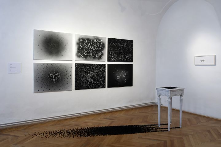 Babinszky Csilla Színe és fonákja