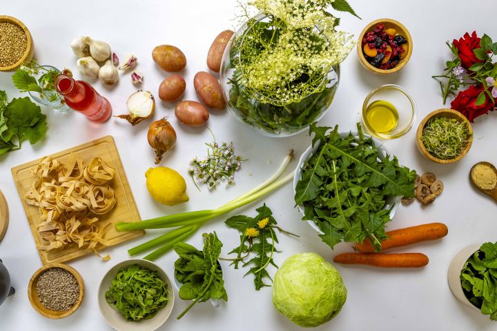 Receptek a természet kertjéből BotanicArt / közösségi tér / Dubniczay-palota