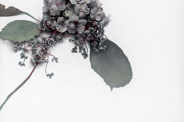 The Circle of Life Dubniczay Palace