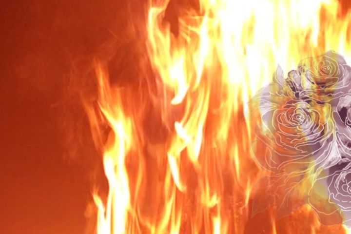 Péntek Imre Viaszrózsák egy szerelemre drámakötet-bemutató