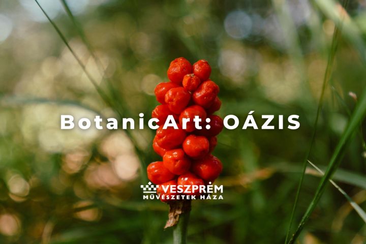 BotanicArt / OÁZIS október Dubniczay-palota