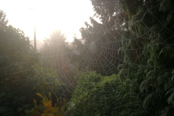 Galériáink zárva tartanak